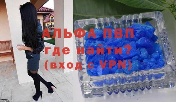 хмурый Верея