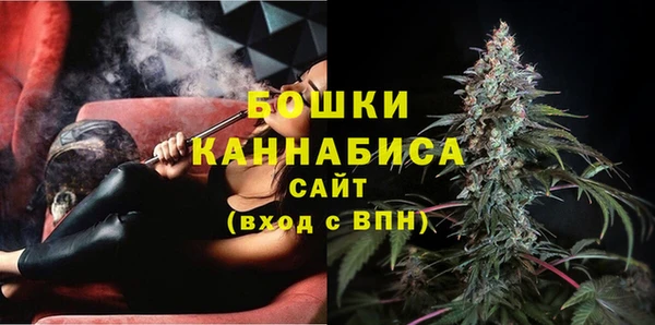 хмурый Верея